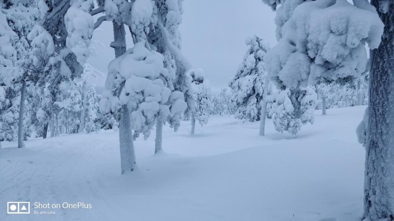 Apt 37 روفانييمي المظهر الخارجي الصورة
